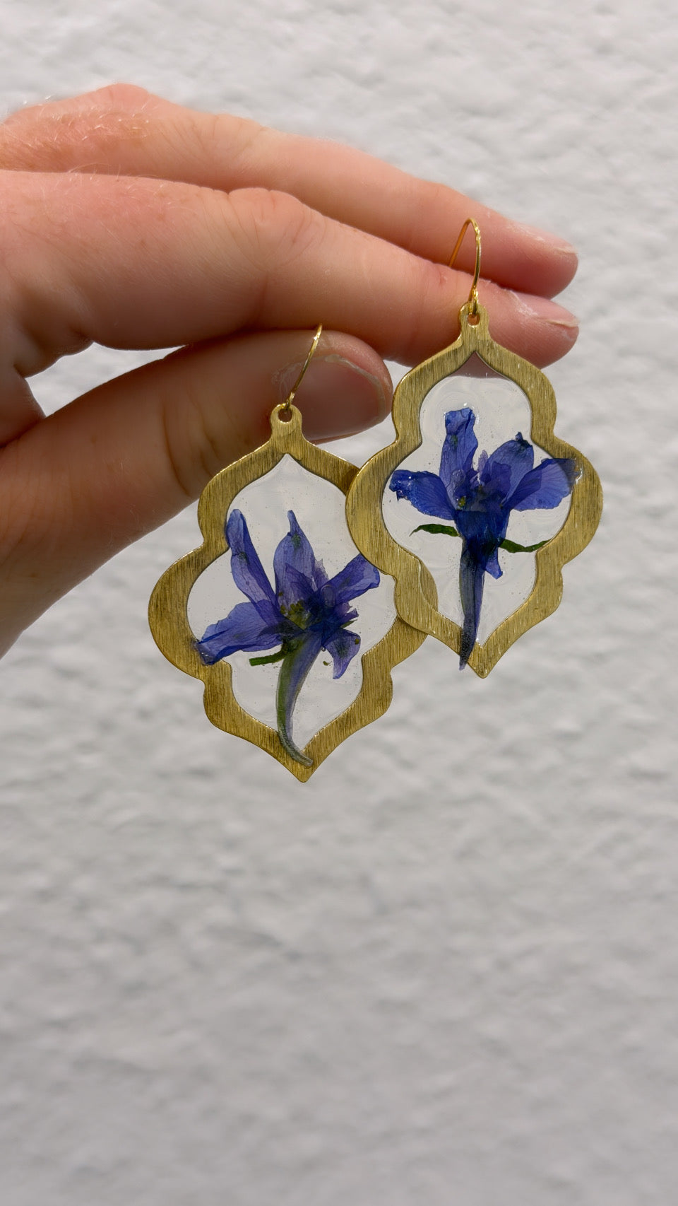 Larkspur