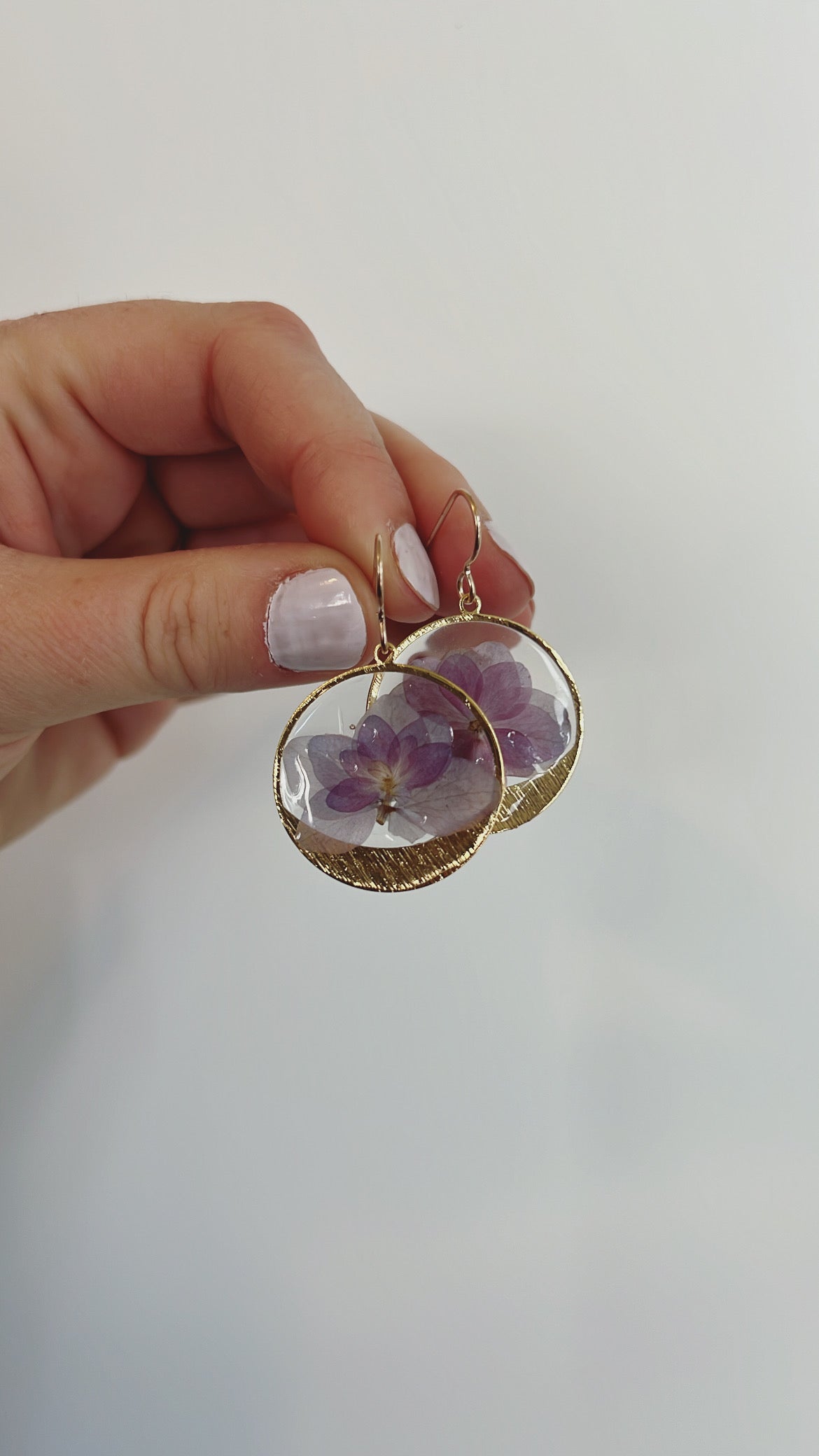 Wisteria hue