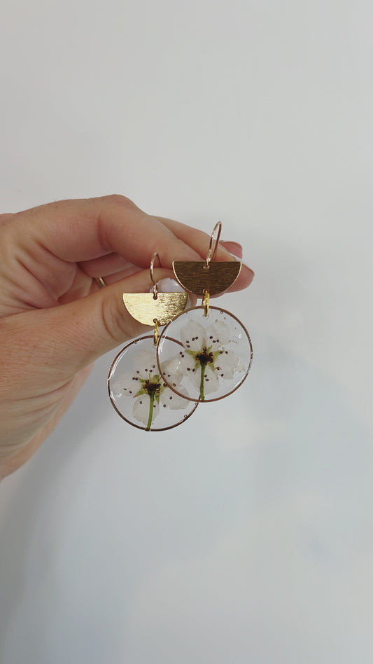 Large white cherry blossom
